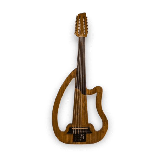 Electric Oud